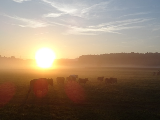 sonnenuntergang